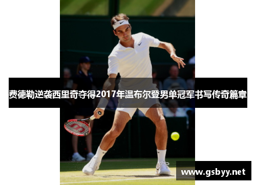 费德勒逆袭西里奇夺得2017年温布尔登男单冠军书写传奇篇章 费德勒逆袭西里奇夺得2017年温布尔登男单冠军书写传奇篇章
